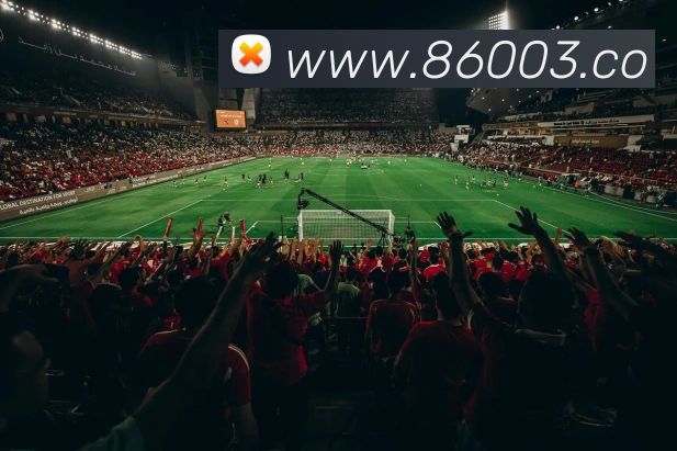 App 展示图